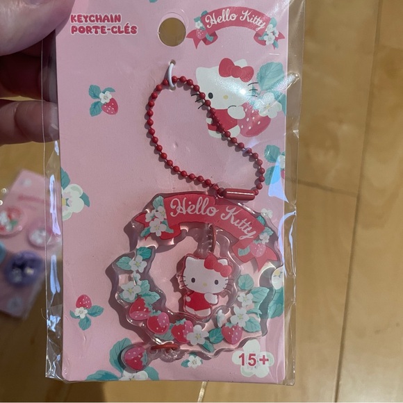 New sanrio pins and keychain bundle - Picture 4 of 5